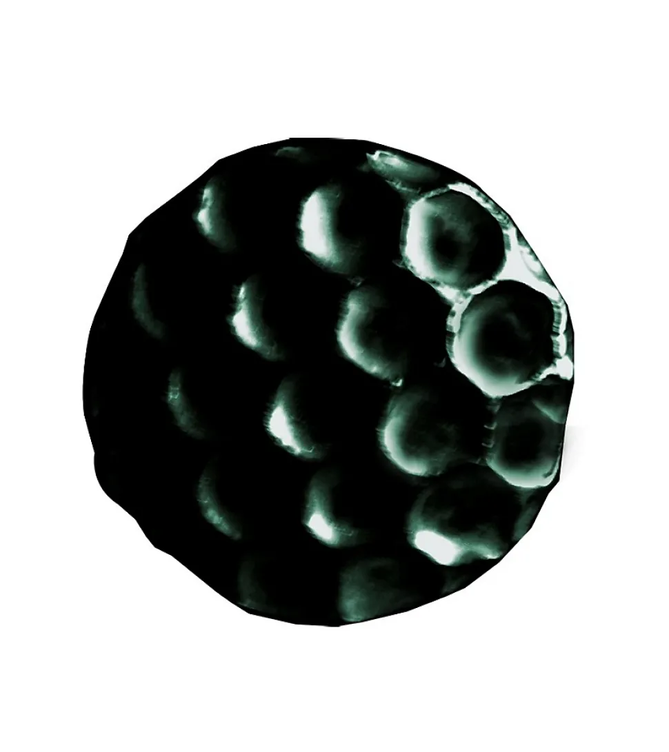 ALVEOLE - Clous Tapissier Décoratifs - Lot de 100