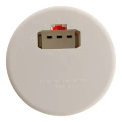 Boîte DCL point de centre murs diamètre 65mm Zenitech
