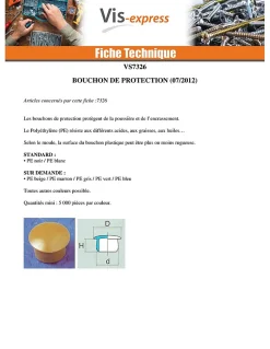 Bouchon Diamètre du corps 5 Diamètre de tête: 10 Longueur sous tête 5.5 nylon blanc - 100 pièces