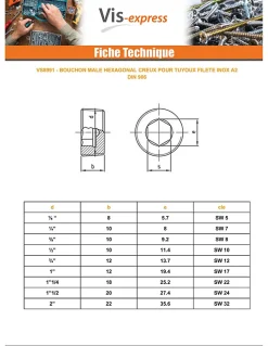Bouchon mâle hexagonal creux à visser SW12 3/4 12X13.7 Inox A2 - 1 pièce