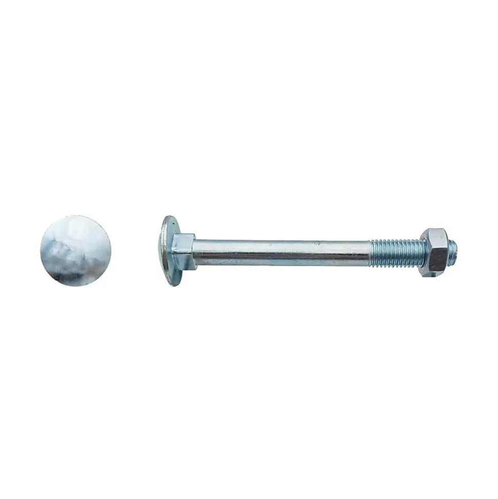 10 boulons tête ronde collet carré 6 x 70 mm