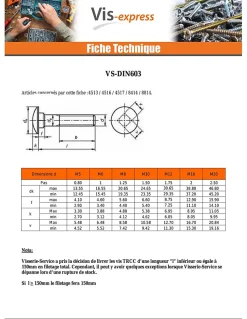 Boulon (vendu avec Ecrou) TRCC JAPY tête ronde collet carré M8X90 Filetage total Acier zingué - 1 pièce