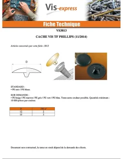 Cache tête Plastique Phillips de 2 RAL9002 blan gris Nylon Blanc Gris - 50 pièces