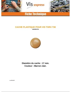 Cache vis TORX TORX T30 Diamètre de tête: 17 Nylon Marron CLAI - 1000 pièces