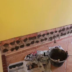 Capirsec Imperméabilisant Capillaire 25 litres + 5 canules - Liquide injectable qui empêche la remontée d'humidité dans les murs