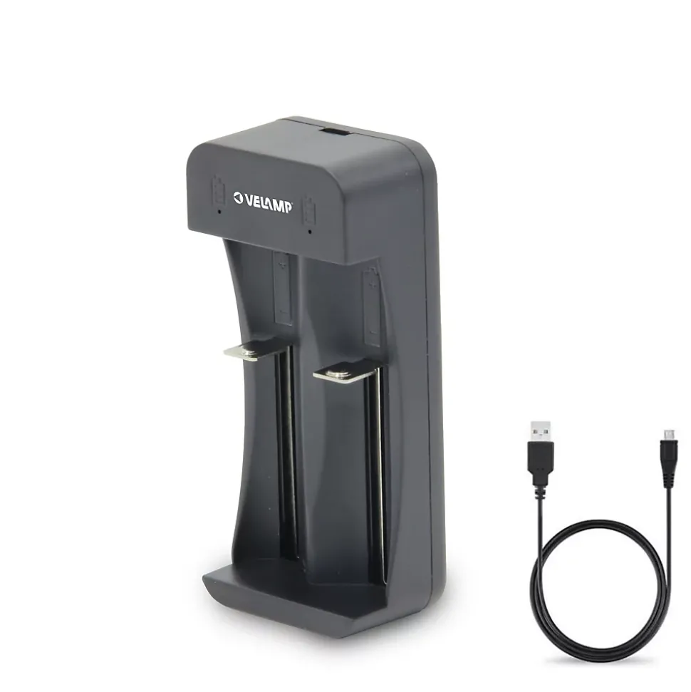 Chargeur rapide à 2 canaux pour batteries lithium-ion