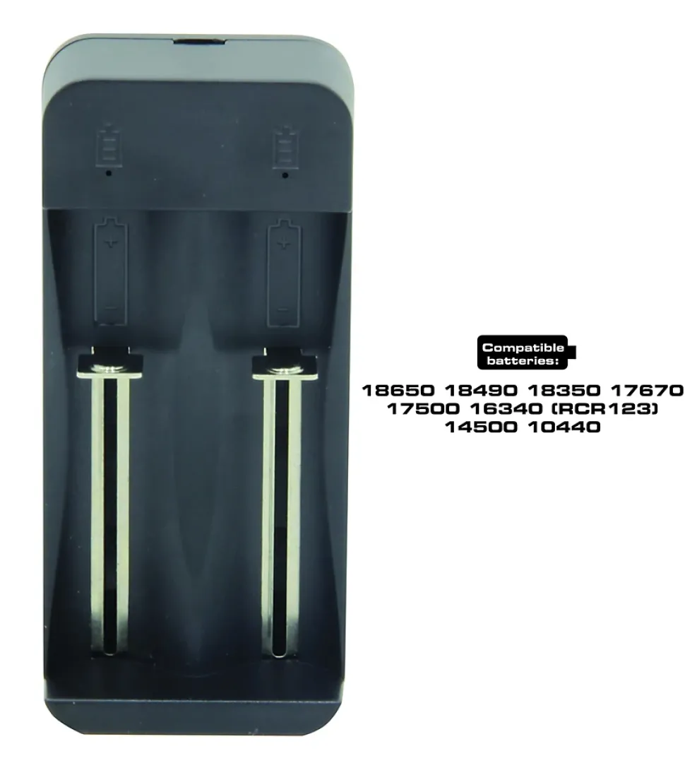 Chargeur rapide à 2 canaux pour batteries lithium-ion