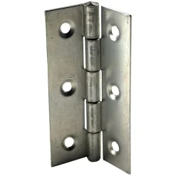 Charnière inox Diall 70 x 40 mm vendue par 2