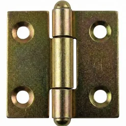 2 charnières démontables acier bichromaté Diall 40 x 40 mm