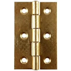 2 charnières laiton Diall 30 x 19 mm