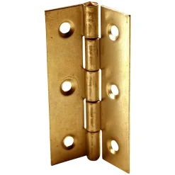 2 charnières laiton Diall 30 x 19 mm