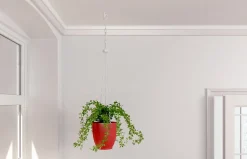 Cheville autoforeuse pour plaque de plâtre Fischer DuoBlade EH D 6 K