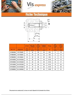 Chevilles à frapper EA II - Acier, électro zingué-48406 (boite de 25 pieces)