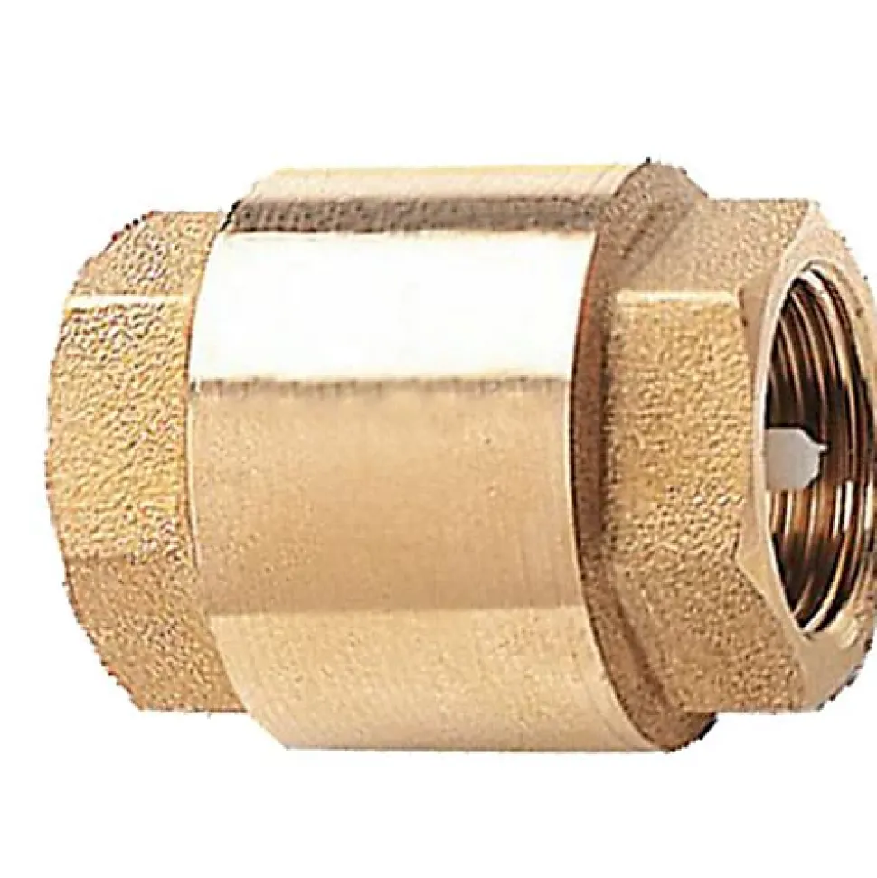 Clapet de retenue universel 3/8 12 bars - 105-12