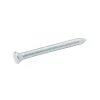 Clous de maçon en acier galvanisé 3,4x50 - 125g