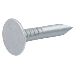 Clous à tête plate en acier galvanisé 3x20 - 1kg