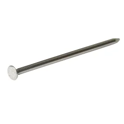 Clous à tête plate en acier galvanisé 2,7x55 - 125g