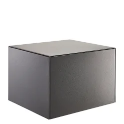 Coffre-fort Burg-Wachter Combi-line CL 420 E
