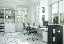 Coffre-fort Burg-Wachter combi-line CL 460 E