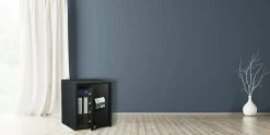 Coffre-fort Burg-Wachter Combi-line CL 440 E