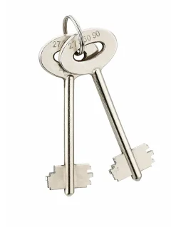 Coffret de sécurité à poser Sedan, fermeture par clé, 2 pênes, 15L - THIRARD