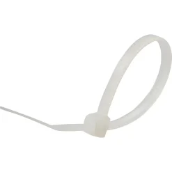 100 colliers de serrage en nylon Diall 2,5 x 100 mm transparent