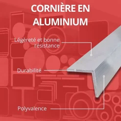 Corniere inegale alu 30x20 ep 2 mm, Longueur : 3 metres - Comment Fer