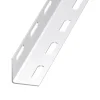 Cornière perforée acier époxy blanc 38 x 38 mm, 2 m