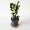 Creative Deco 35m Corde de Jute Epaisseur 24mm - Personnalisation Possible Tous les 5m - Durable - Torsadé en Fibres Naturelles
