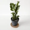 Creative Deco 30m Corde de Jute Epaisseur 20mm - Personnalisation Possible Tous les 5m - Corde Solide - Torsadé Fibres Naturelles