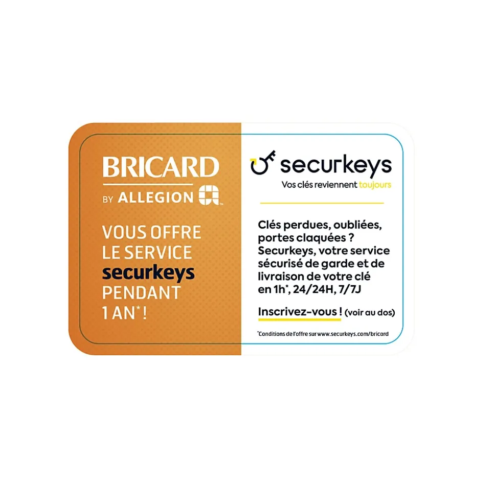 Cylindre débrayable Bricard mistral à 2 entrées 30x40 mm avec clés