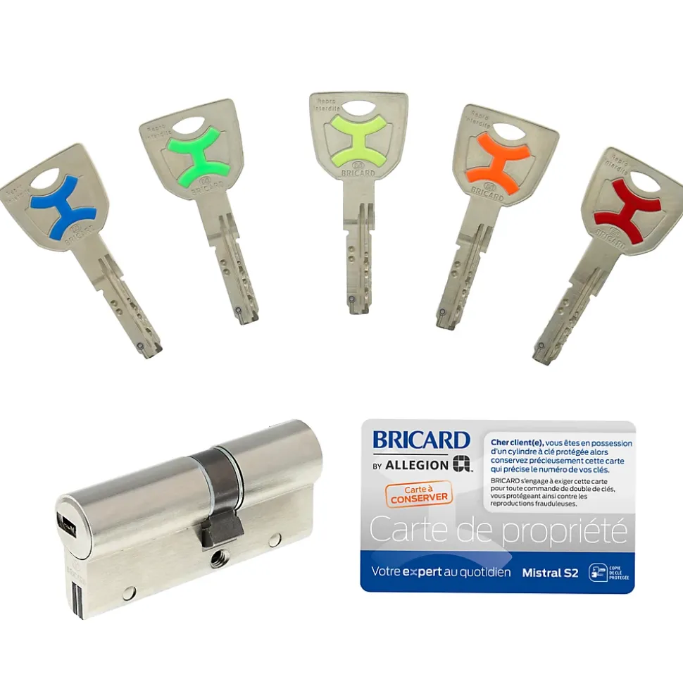 Cylindre débrayable Bricard mistral à 2 entrées 30x40 mm avec clés