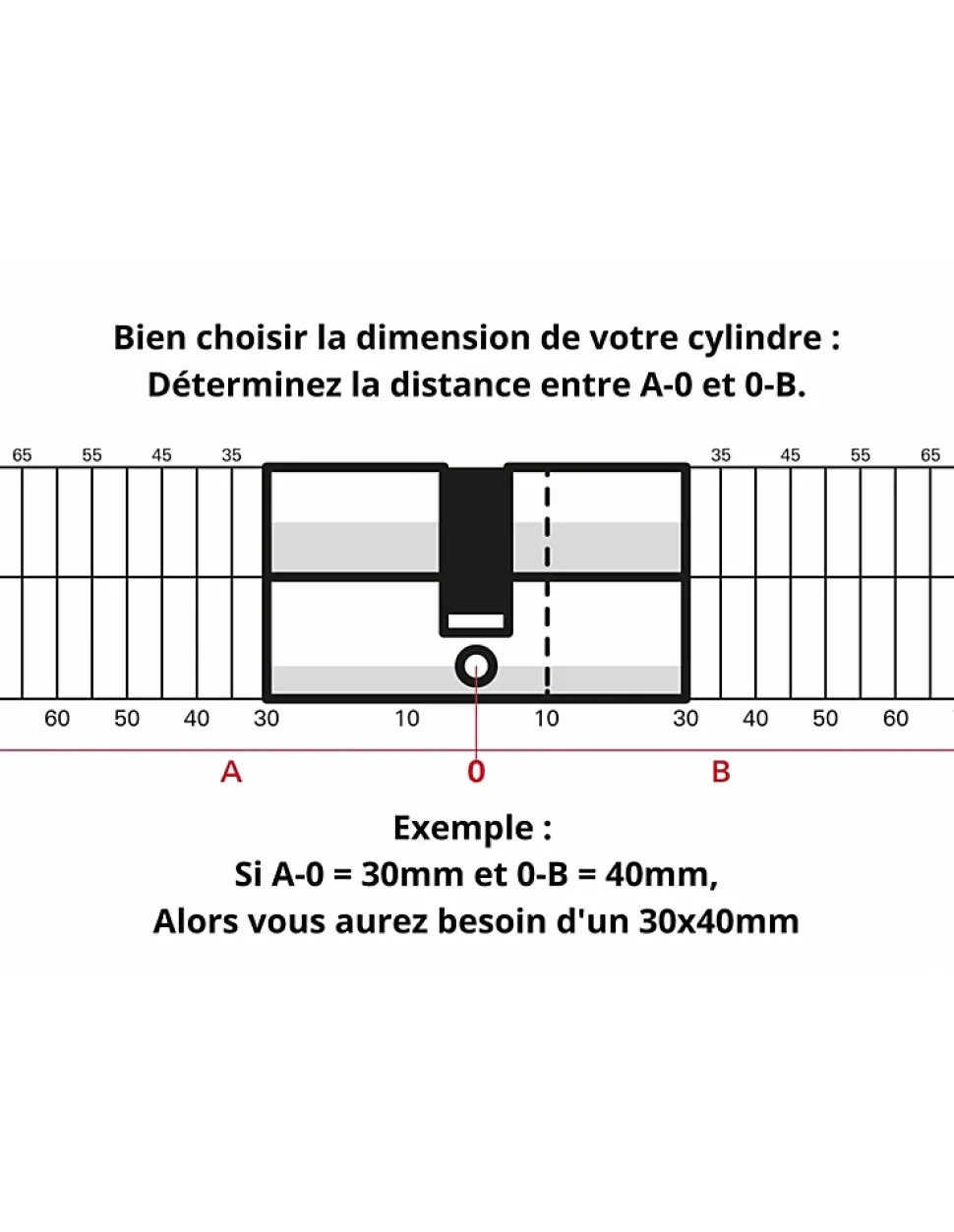 Cylindre de serrure à double entrée Tiger 6 Dynamic, 45x65mm, nickelé, anti-arrachement, anti-perçage, 5 clés - SP