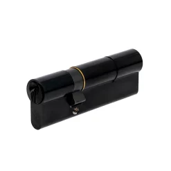 Cylindre de Serrure 30x60 mm finition PVD noir Vachette V5 3 clés