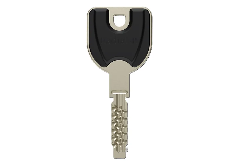 Cylindre 2 entrées nickel Vachette 42.5 X 42.5 mm