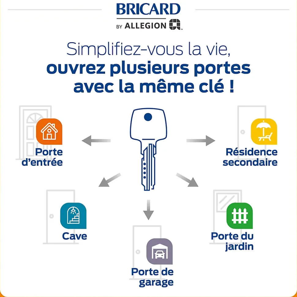 2 Cylindres débrayables Bricard 30x30/30x10 mm avec 6 clés