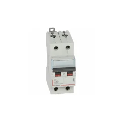 407788 Disjoncteur Bipolaire 40a - 2p Courbe C - 6/10ka - à Vis - Legrand Dx3