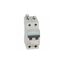 407789 Disjoncteur Bipolaire 50a - 2p Courbe C - 6/10ka - à Vis - Legrand Dx3
