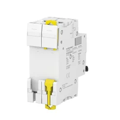 Disjoncteur modulaire bipolaire Schneider Acti9 iC60N 20A courbe D