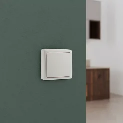 Double interrupteur va-et-vient monobloc en saillie étanche Jacobsen Sigurd blanc complet