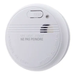 Détecteur fumée 5 ans + pile Otio