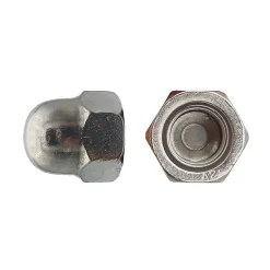 25 Ecrous Borgnes M22 mm - DIN 1587 - Inox A2 - D-Work