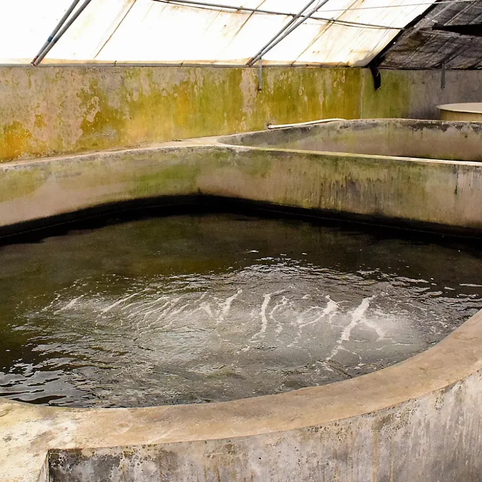Enduit d'étanchéité Piscine Cuve Hors Sol - ARCACIM S2 AQUA. Gris Marron Proche - RAL 7013 - 20 kg - ARCANE INDUSTRIES