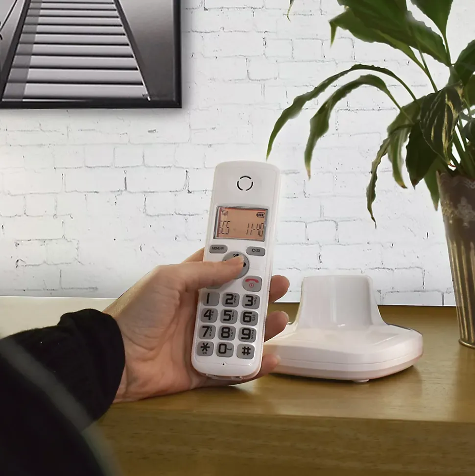 Ensemble interphone audio avec bouton Willi