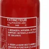Extincteur poudre ABC 1 kg Lifebox avec manomètre