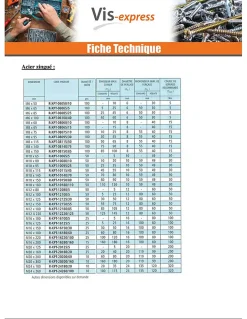 Goujon Ancrage R-XPT M12X180 Acier zingué - 200 pièces