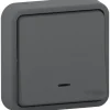 Interrupteur poussoir lumineux étanche complet encastré Schneider Electric Mureva Styl anthracite