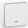 Interrupteur poussoir lumineux étanche complet encastré Schneider Electric Mureva Styl blanc