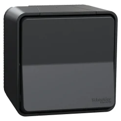 Interrupteur poussoir étanche complet saillie Schneider Electric Mureva Styl anthracite