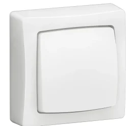 Interrupteur simple saillie Legrand complet blanc